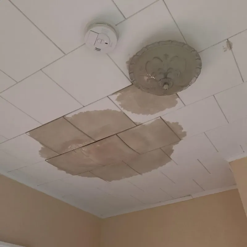 Ceiling Water Damage Repair in Mulvane, KS