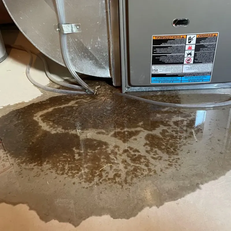 Pipe Burst and Leak Restoration in Mulvane, KS