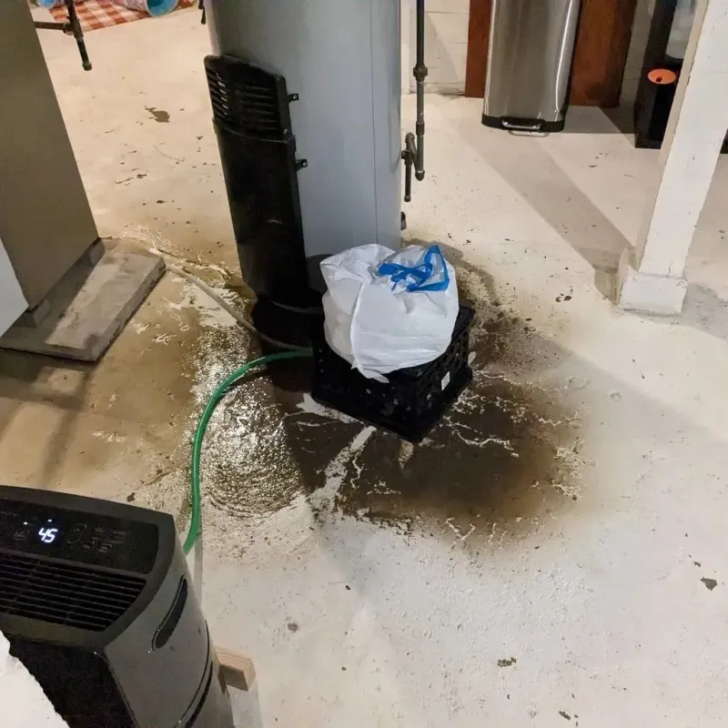 Sewage Backup Cleanup Service in Mulvane, KS
